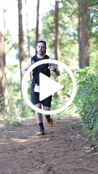 BIB:  <button type="button" onclick="openModal(26567835)" class="btn btn-primary btn-sm float-right" data-toggle="modal" data-target=".modal-high-quality">
                <i class="fa fa-download"></i> Download
                </button>